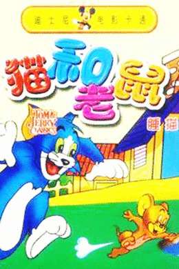 猫和老鼠睡猫