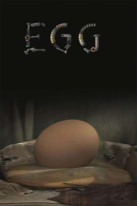 蛋