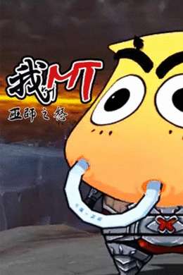 我叫MT巫师之怒