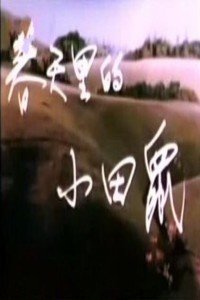 春天里的小田鼠